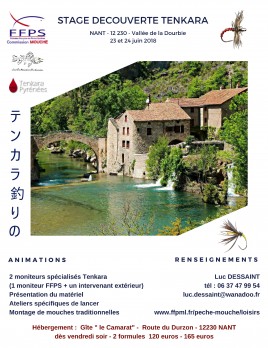 AFFICHE STAGE TENKARA ( JPG)